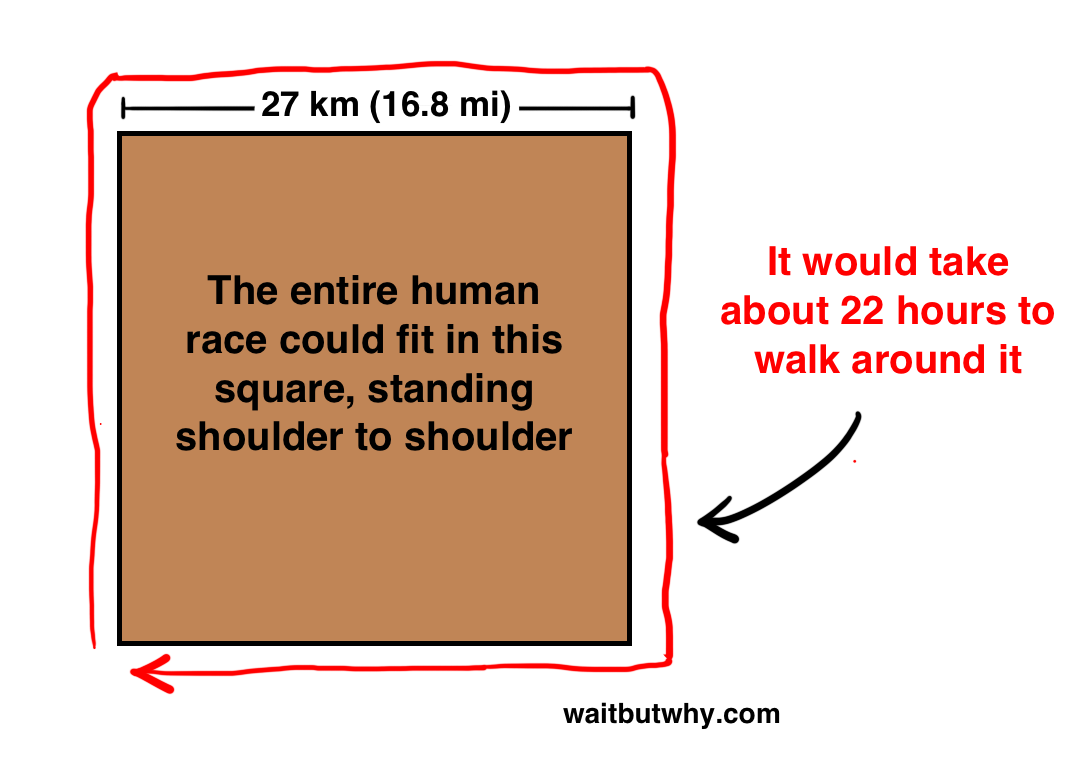 All Humans