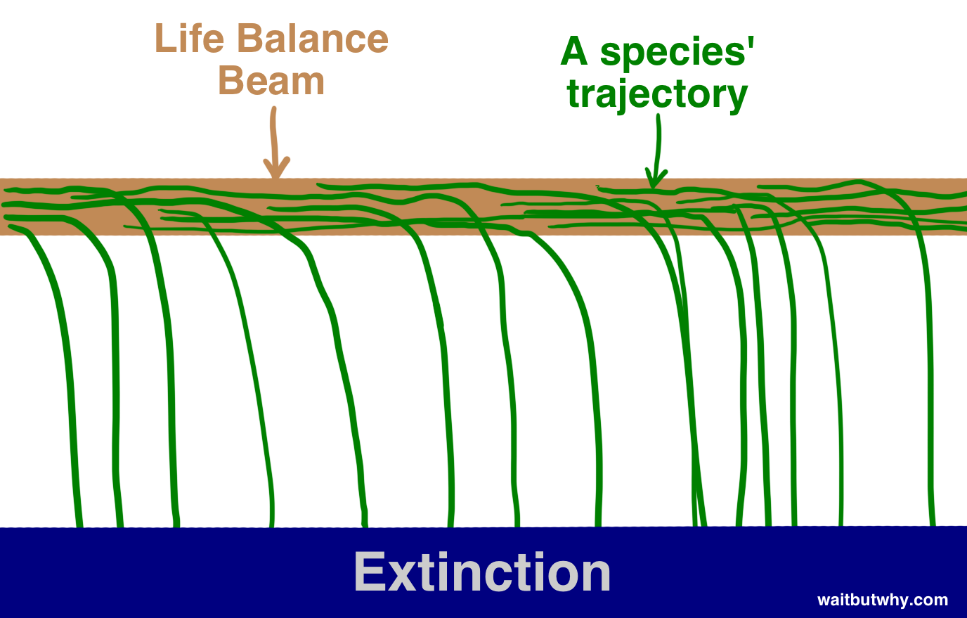 beam1