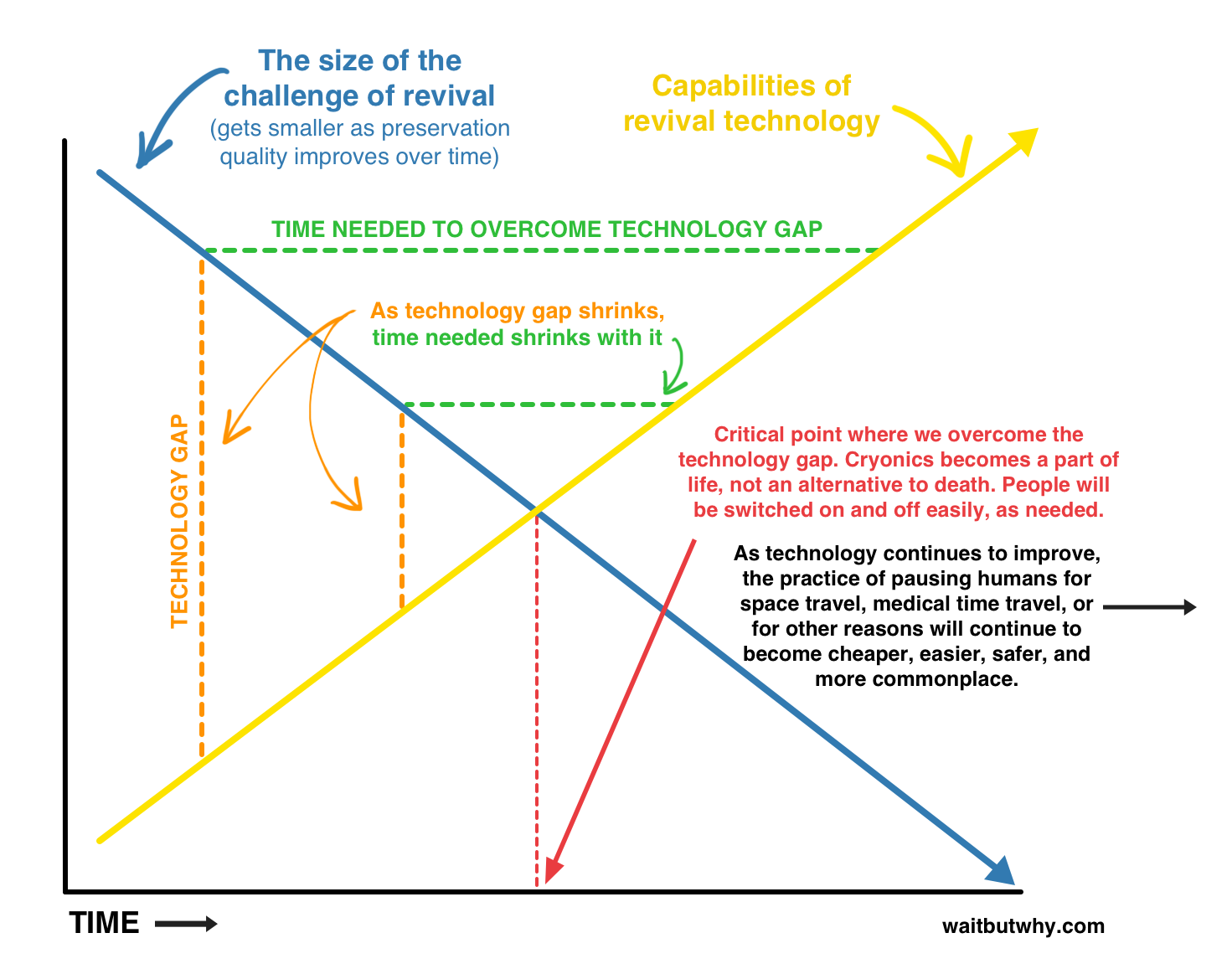 Cryonics big picture