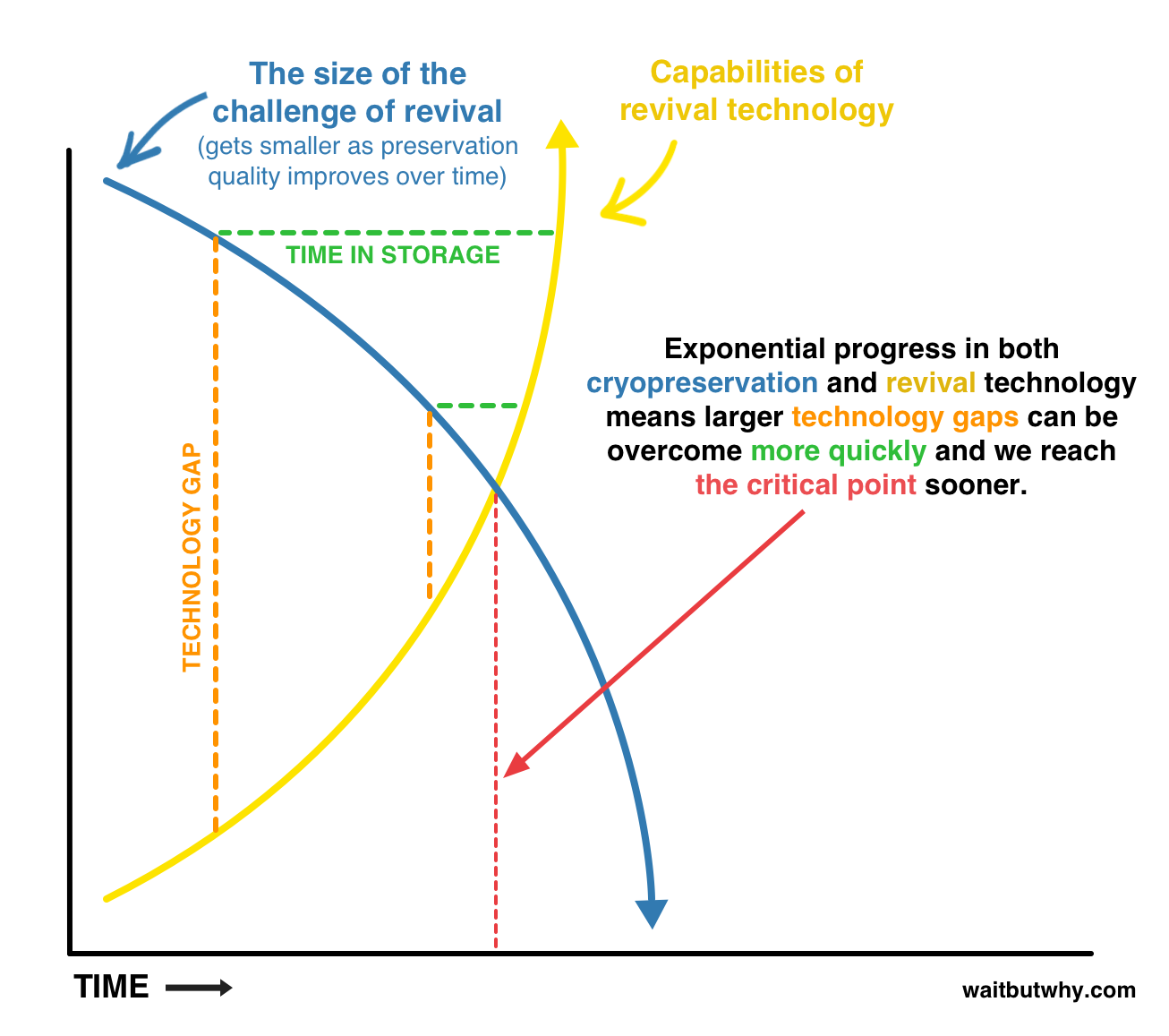Cryonics big picture Exponential