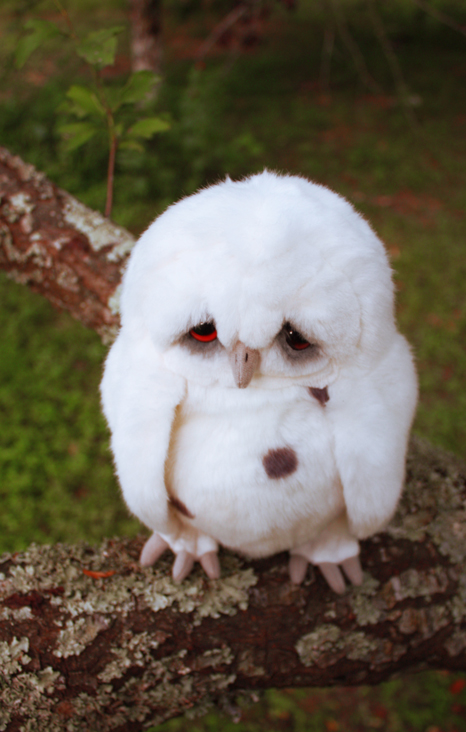 owzSadOwl3bydistasty