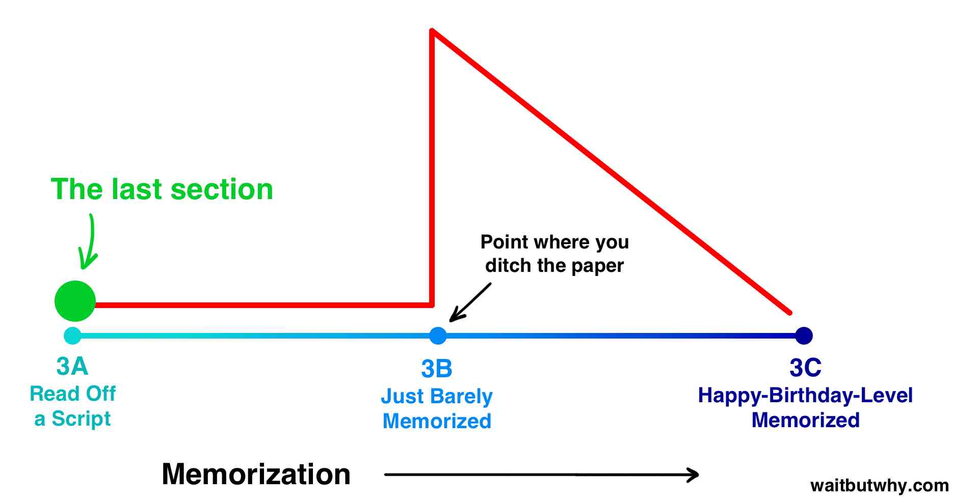 memorization spectrum with the last section at read off a script