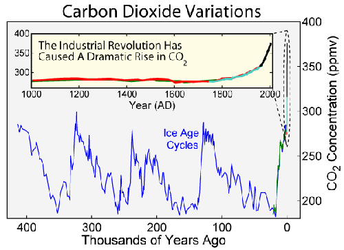co2variations