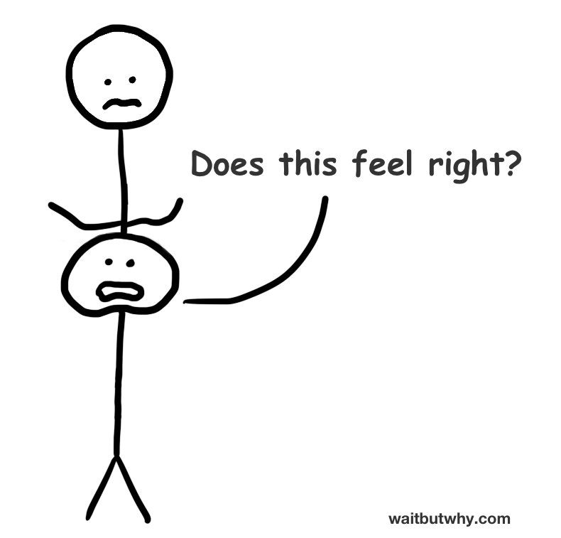 gut - "does this feel right?"
