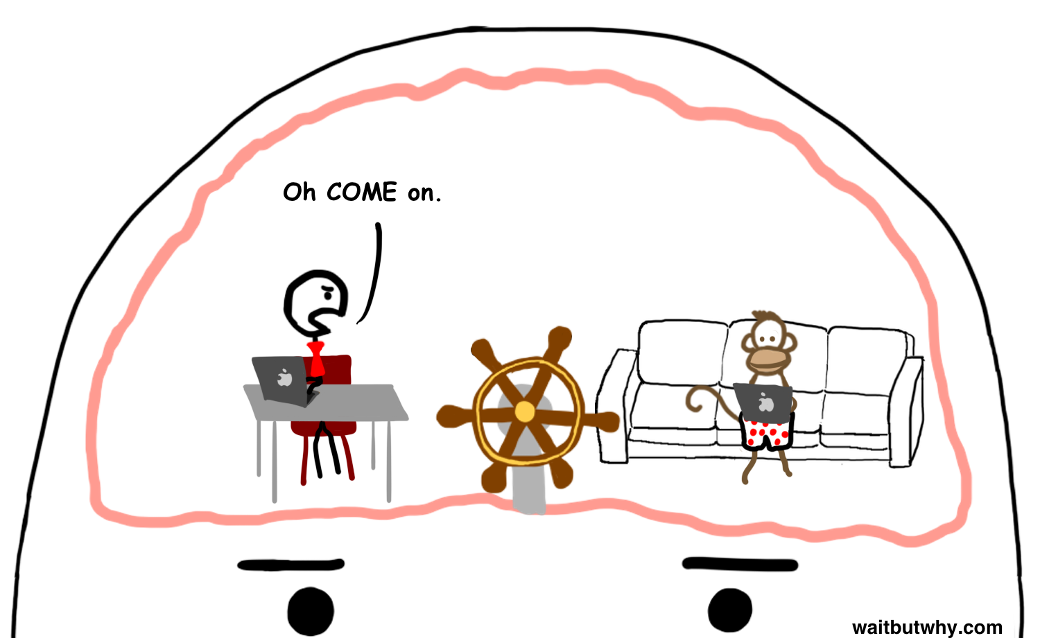 monkey blog