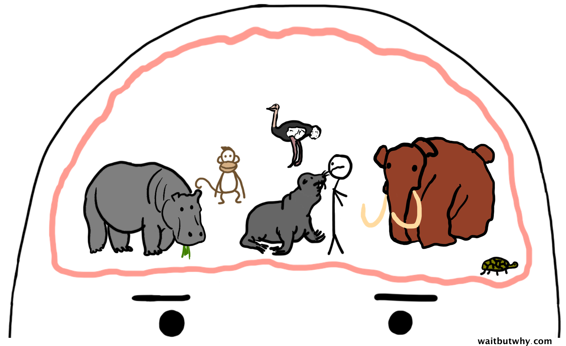 animal + higher being