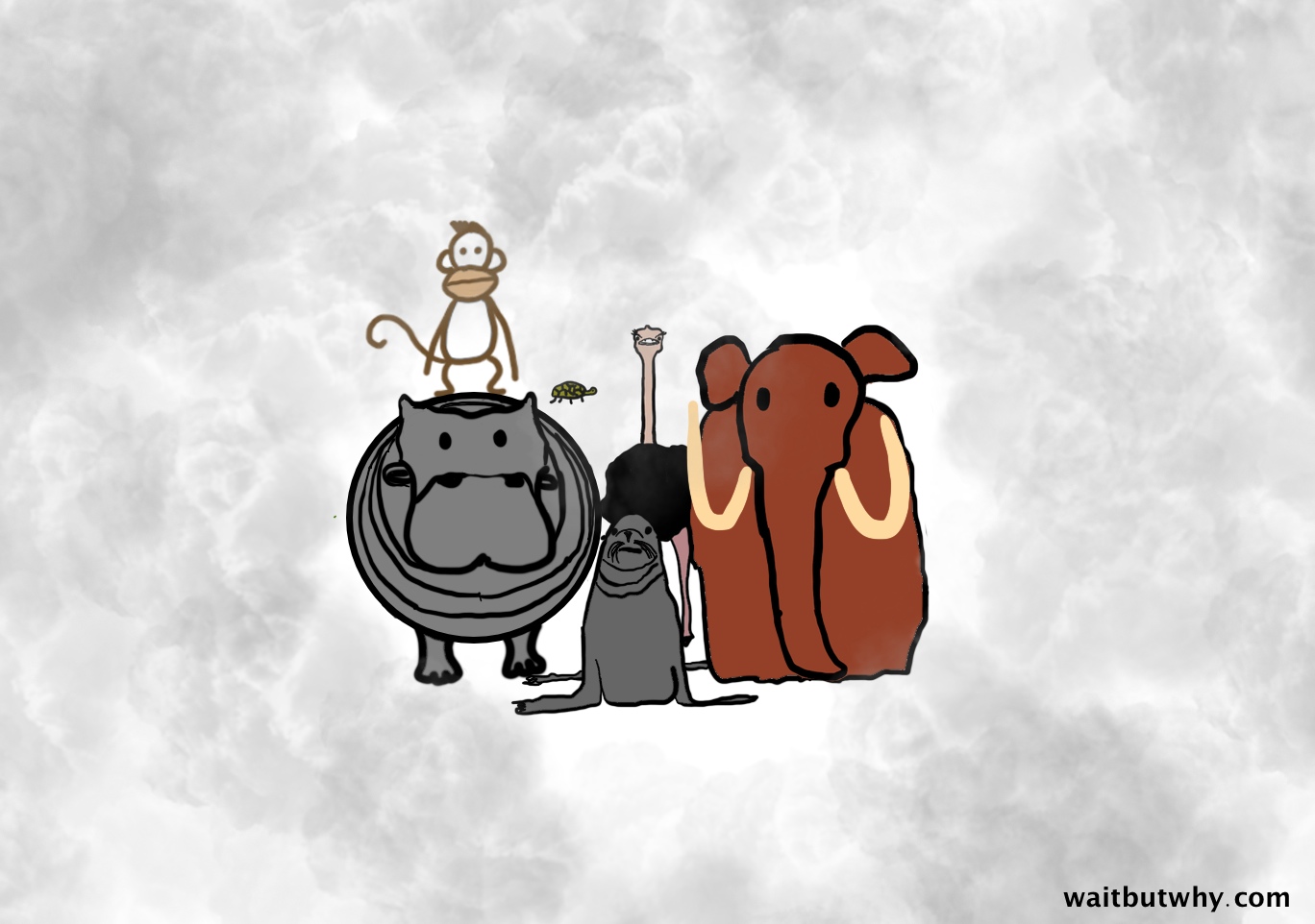 animals clump
