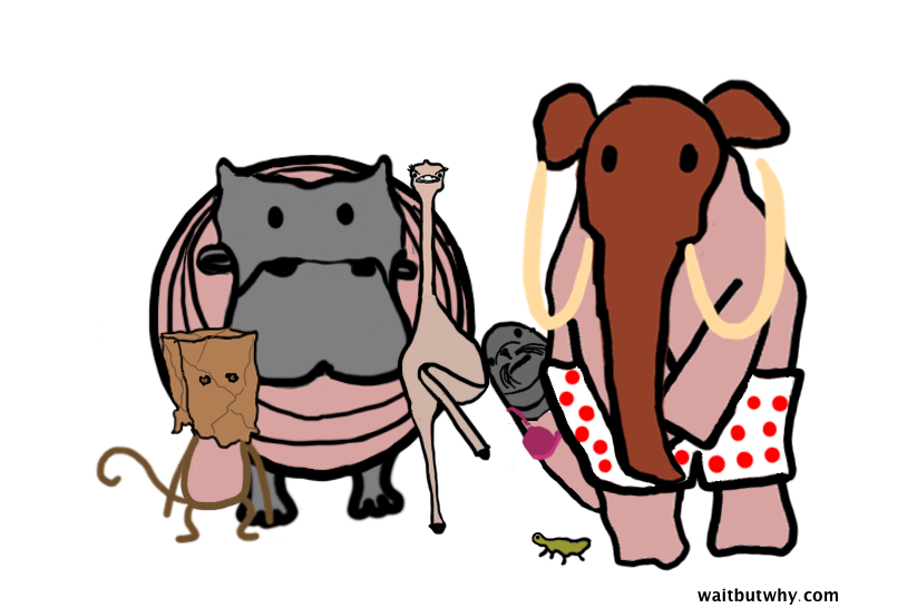 animals embarrassed