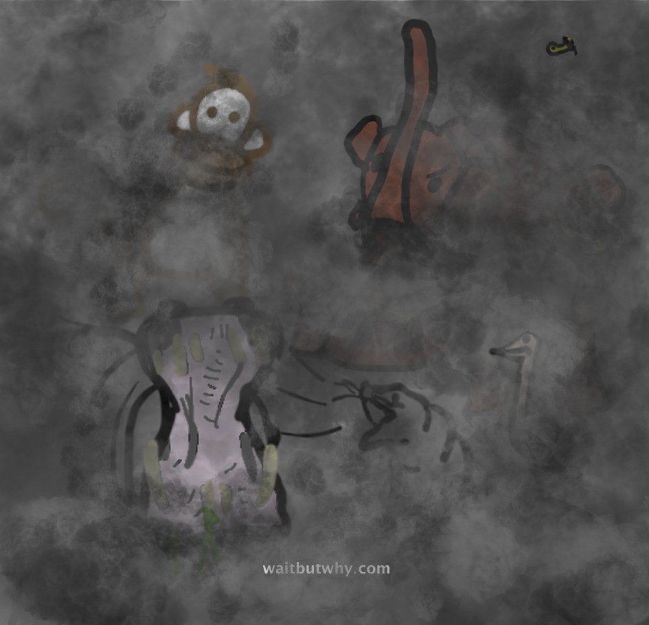 animals in fog