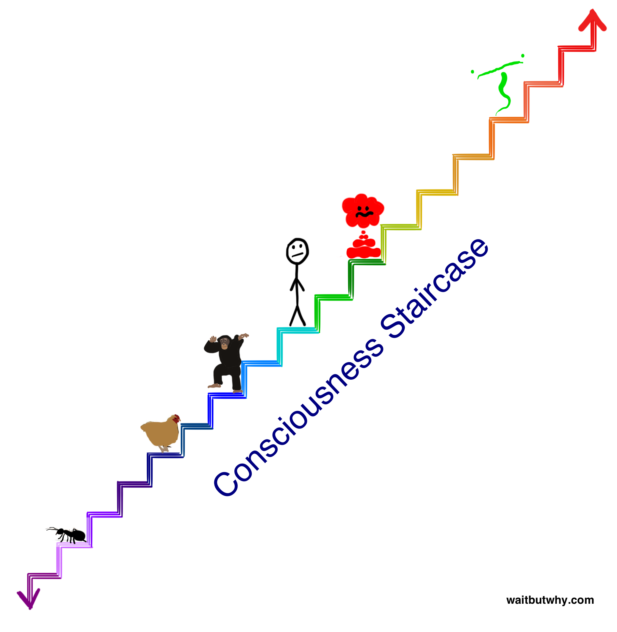 big staircase
