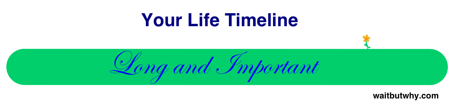 life timeline