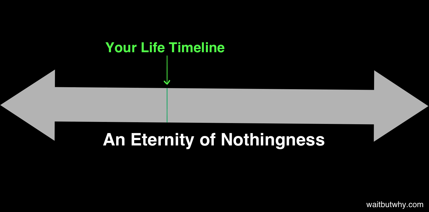 long timeline