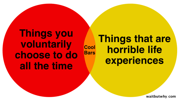 The thing about cool bars
