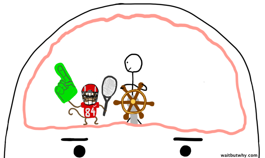 IGM Sports 2