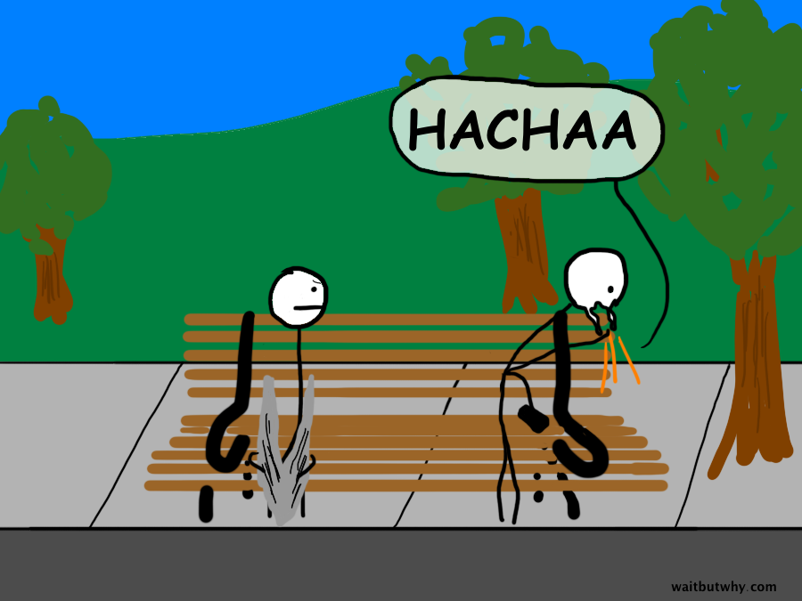 sneeze 13