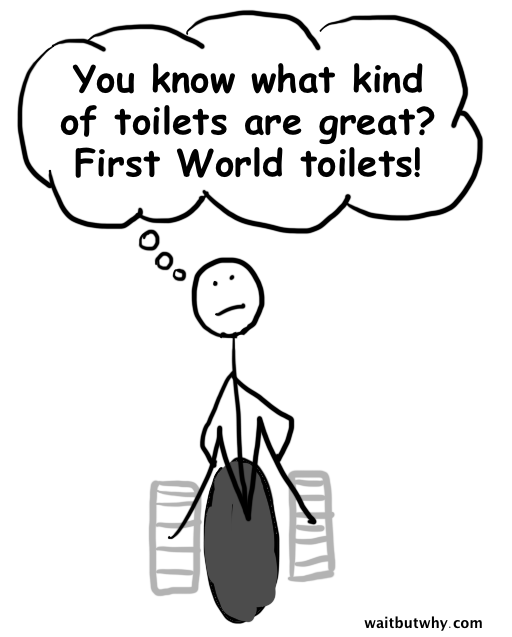 Third World Toilets