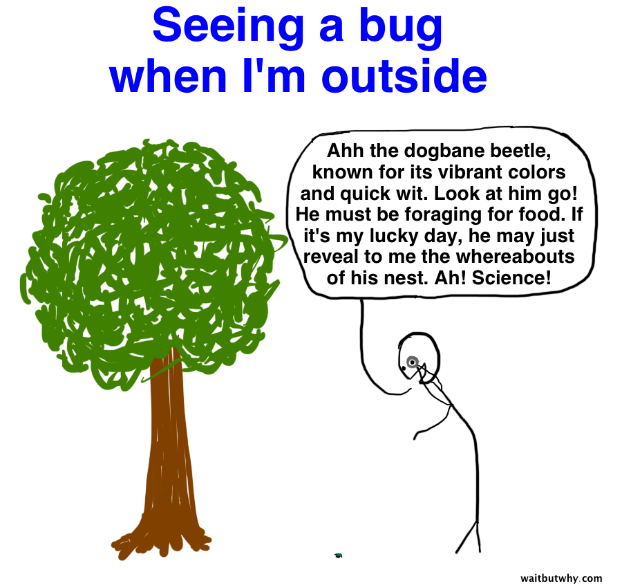 outside