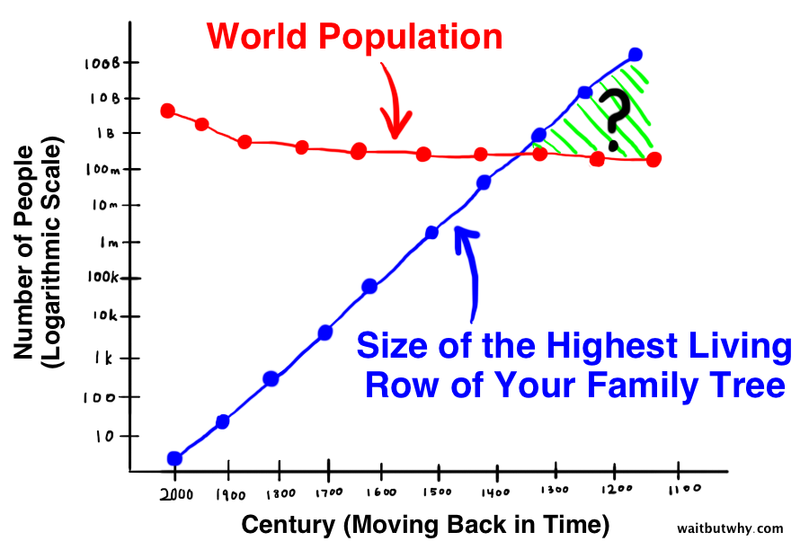 blue line showing size of highest living family tree increasing as you go back in time crossing a red line representing the world population declining as you go back in time