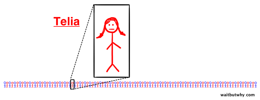 close up of the bottom row of your descendant tree with one stick figure highlighted and named Telia